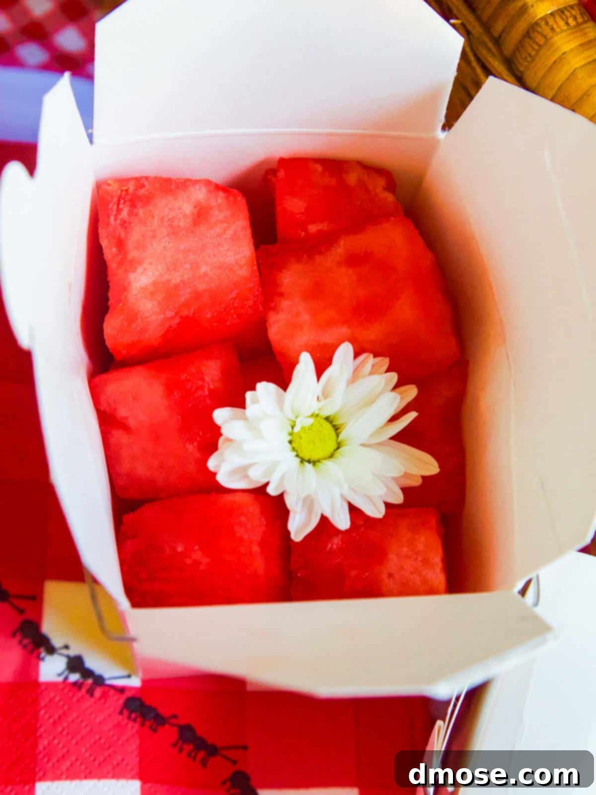 Picnic Ready Pressed Italian Subs 20 Watermelon cubes for picnic sandwiches.
